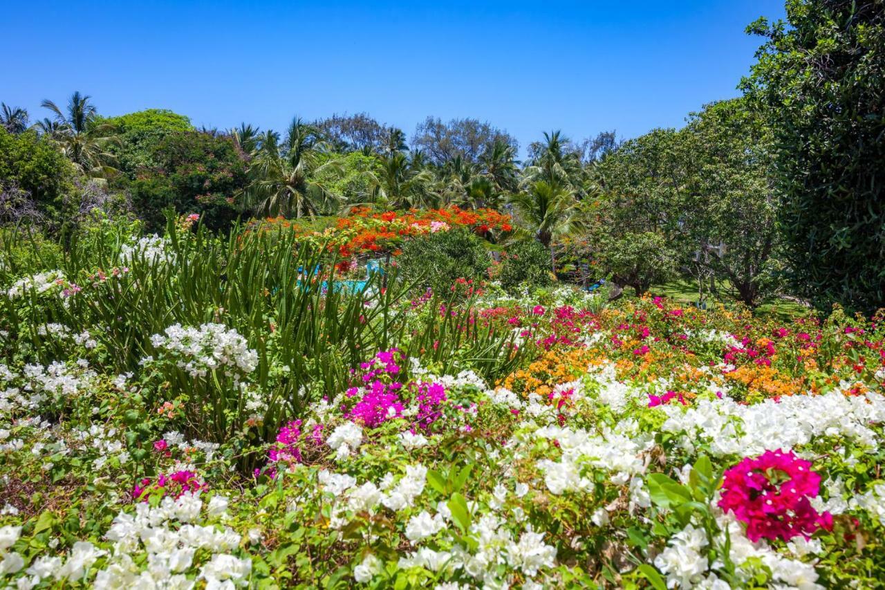 Diani Sea Resort Diani Beach Ngoại thất bức ảnh